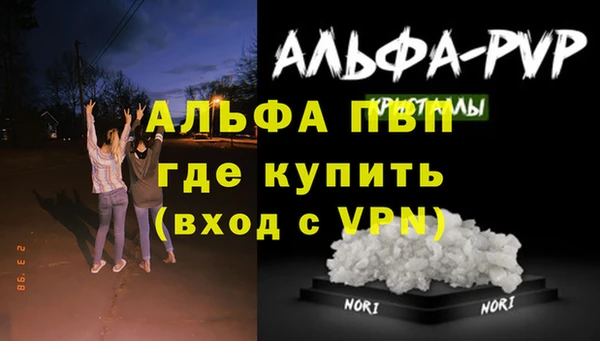 прущие крисы Шарыпово