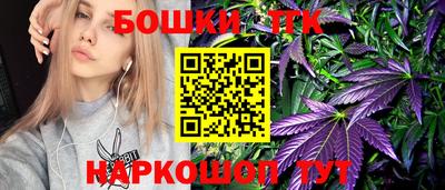 спайс Кингисепп