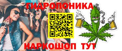шишки Кимры