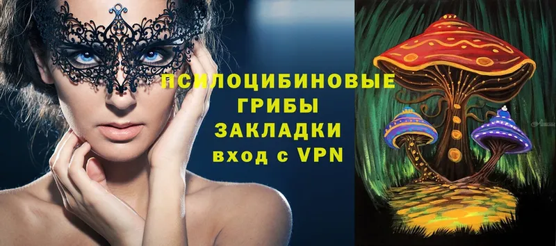 Галлюциногенные грибы ЛСД Красногорск
