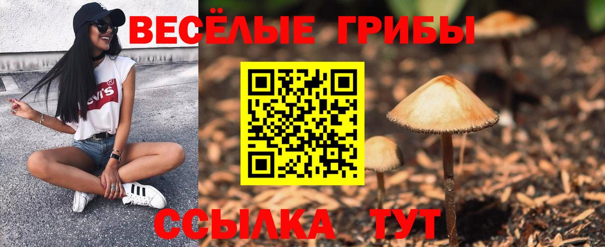 Красногорск  Галлюциногенные грибы MAGIC MUSHROOMS  Вход с VPN 