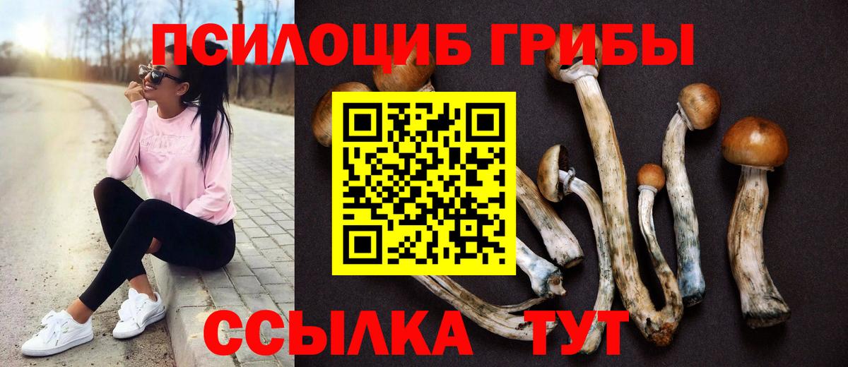 Галлюциногенные грибы мухоморы Красногорск