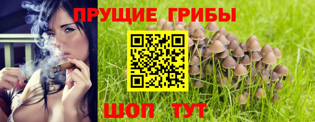 Псилоцибиновые грибы MAGIC MUSHROOMS  Галлюциногенные грибы Psilocybine cubensis  Красногорск 