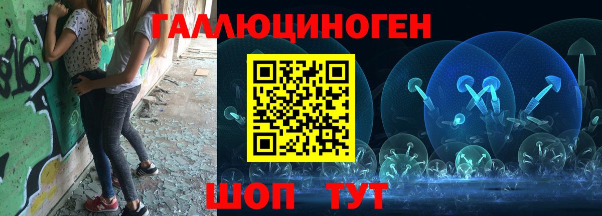 Галлюциногенные грибы Cubensis Красногорск