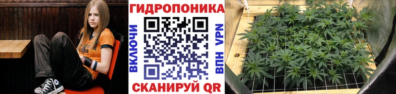 закладки  Красногорск  MEGA   Конопля индика 